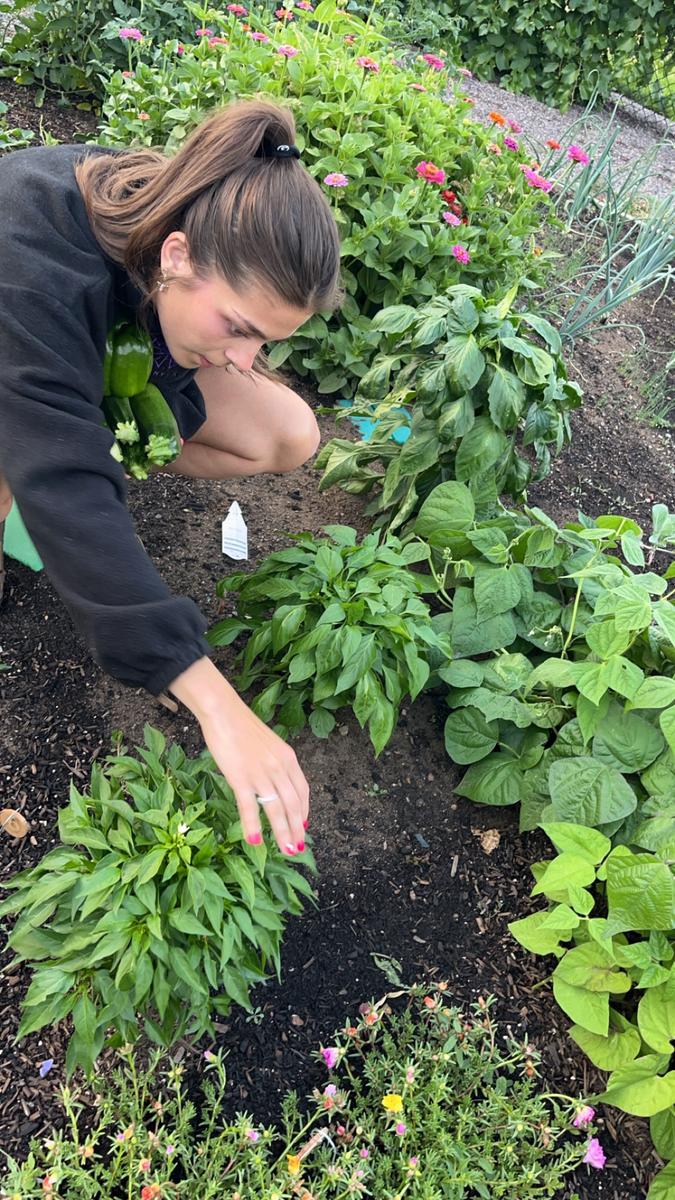 Garden photo