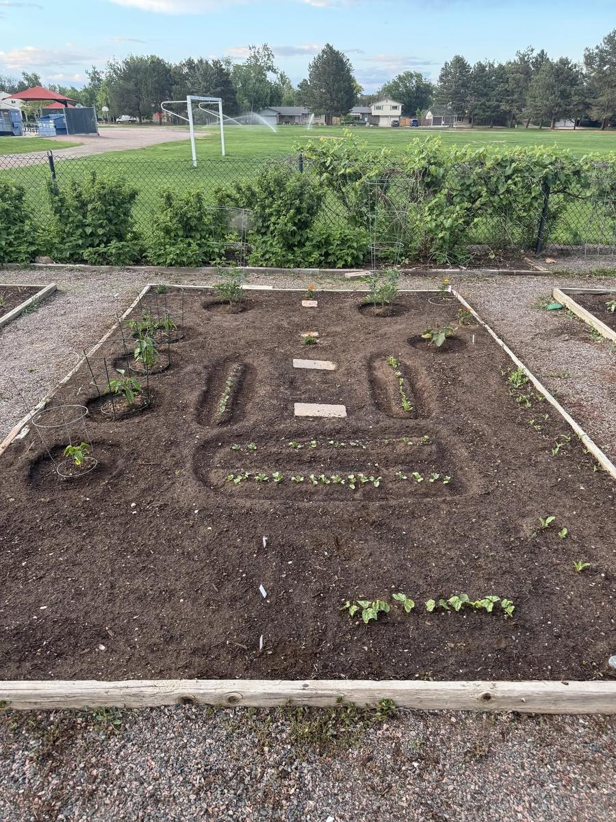 Little Sprouts Community Garden — Grow With Us